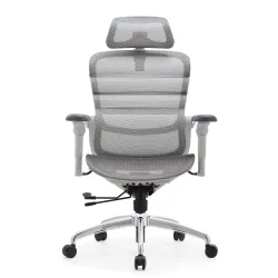 Ghế Công Thái Học Manson Foris, Màu Xám, Không gác chân | Đỡ Lưng Bionic Spine, Ngả Sâu 147 Độ, Tay 5D - Bezon Buôn Ma Thuột