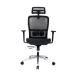 Ghế công thái học GAMI LUM2 | Đen, 150kg, Chân xoay, tay 2D, Lưng lưới - 4