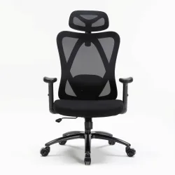 Ghế công thái học WARRIOR Hero WEC501 Plus | Đen, 120kg, Chân xoay, Lưng lưới - Bezon Buôn Ma Thuột