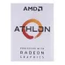 CPU AMD Athlon 3000G | AM4, 2 nhân/4 luồng - 4