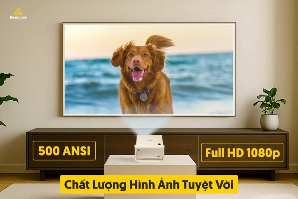 Máy chiếu mini Beecube X2 Gen 5